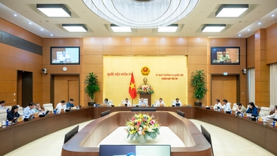 SAJTÓKÖZLEMÉNY Az Országgyűlés Állandó Bizottságának 51. ülésszakának programjáról (2025. november)