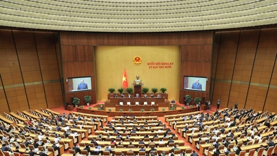 Δελτίο Τύπου Αρ. 13, 10η Σύνοδος, 15η Εθνοσυνέλευση