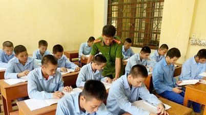 Custo do apoio às atividades judiciais para menores