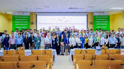 জৈব কৃষি: মেকং বদ্বীপের জন্য একটি টেকসই দিকনির্দেশনা
