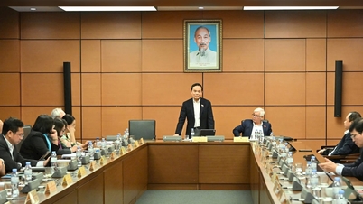 Fokus pada kualiti institusi dan keberkesanan penguatkuasaan undang-undang