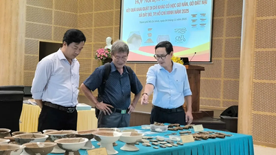 고난(Go Nan)과 고닷나이(Go Dat Nai) 유적지를 도시 수준의 유물로 평가하자는 제안