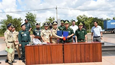 Received 65 citizens involved in online fraud activities