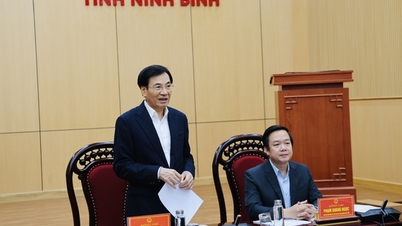 Odstranění obtíží, podpora růstu a zdokonalení dvouúrovňové vlády v Ninh Binh