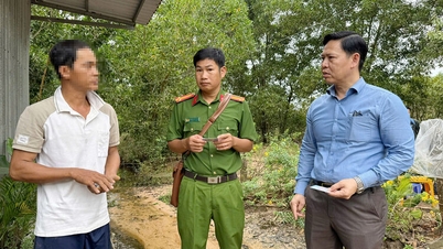 A Phu Quoc különleges övezet egy nap alatt 41 erdőterülettel kapcsolatos szabálysértési ügyet kezelt.