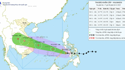 Tajfun Kalmaegi jest równie niebezpieczny jak tajfuny Damrey i Molave