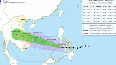 Хотя шторм еще не достиг Восточного моря, Вьетнам решил выпустить экстренный штормовой бюллетень.