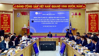 هیئت نمایندگی شرکت برق شمالی با شرکت برق لای چائو همکاری کرد