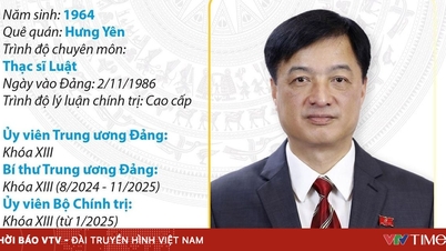 [Infographic] Politburo member, Secretary of Hanoi Party Committee Nguyen Duy Ngoc