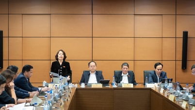 Los documentos preliminares del XIV Congreso Nacional contienen muchos puntos nuevos e importantes, que demuestran la visión estratégica del Partido.