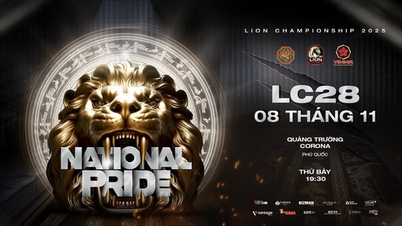 Kejohanan Seni Mempertahankan Diri Campuran Vietnam - Kejohanan LION 28 telah diadakan di Phu Quoc