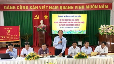 Phú Hữu chú trọng phát triển sản phẩm tiềm năng ngành nông nghiệp