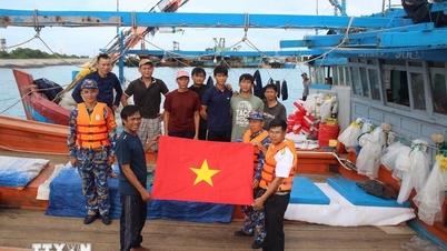 3.000'den fazla balıkçı, Truong Sa'daki Kalmaegi fırtınasından korunmak için sığınaklara yönlendirildi.