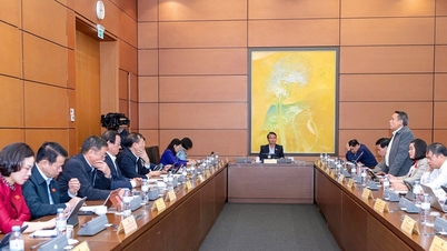 Perfecționarea instituțiilor, promovarea inovației și a dezvoltării durabile