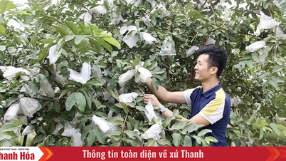 توسعه کشاورزی به سمت تولید کالا، افزایش معیارهای درآمدی در توسعه روستایی جدید