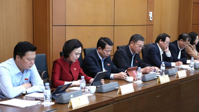 Intézményi áttörések megteremtése, a nemzeti fejlődés iránti törekvések felkeltése