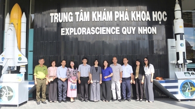 Místopředsedkyně provinčního lidového výboru Nguyen Thi Thanh Lich provedla průzkum turistických atrakcí v okrese Quy Nhon Nam.