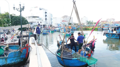 Coasta Centrală de Sud se pregătește pentru super-taifunul Kalmaegi