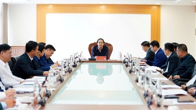 פיתוח אזור הדרום לאזור תעשייתי, שירותים ועירוני מרכזי במחוז