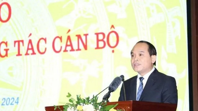 លោក Nguyen Quoc Doan កាន់តំណែងជាអគ្គអធិការរងអចិន្ត្រៃយ៍នៃអធិការដ្ឋានរដ្ឋាភិបាល។