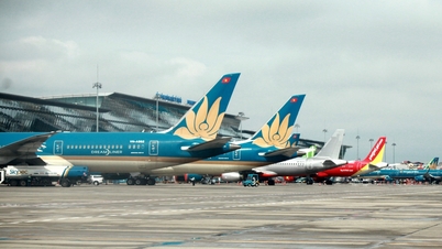ベトナムの航空会社2社は第3四半期の利益が減少したと報告した。