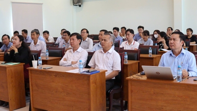 Tay Ninh bada budowę innowacyjnego portalu informacyjnego dla startupów