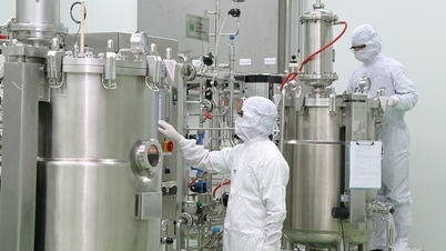 Wijziging van de wet op de technologieoverdracht om te voldoen aan de ontwikkelingsvereisten in de nieuwe context