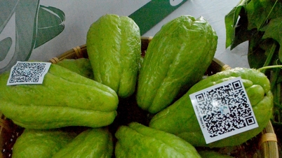 Promouvoir la consommation de produits agricoles liée à la transformation numérique