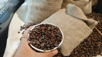Coffee price today November 5, 2025: Strong increase, gap in coffee exports