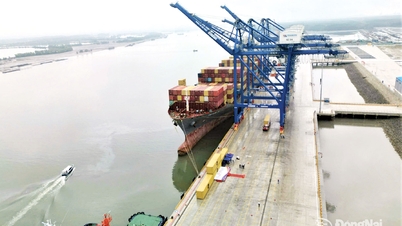 Supprimer les goulets d'étranglement logistiques