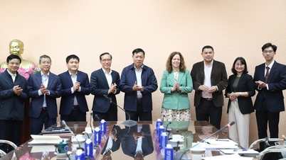 Náměstek ministra zdravotnictví Do Xuan Tuyen spolupracuje s Asociací pro pokročilé lékařské technologie - AdvaMed, USA