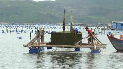 Bão số 13 Kalmaegi mạnh nhất giật cấp 17 trong 24 giờ tới