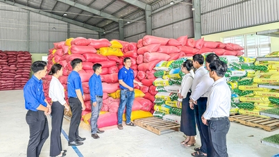 Innovation in thinking, raising the level of agricultural cooperatives