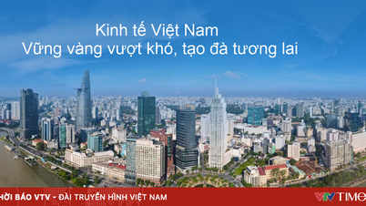 EuroCham: Vietnam is maintaining a steady recovery momentum