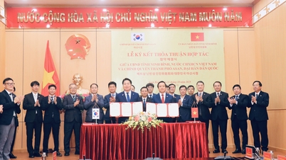 ニンビン省とアサン市（韓国）間の農業分野における協力を促進するための優れた成果と方向性