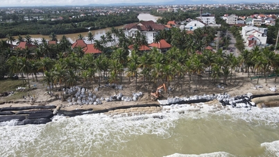 Da Nang: centrarse en prevenir la erosión de la playa de Cua Dai