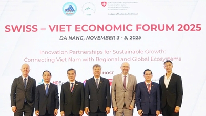 Розвиток співпраці між Швейцарією та Данангом