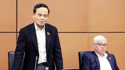 Tajemník výboru strany Ho Či Minovo Město Tran Luu Quang: Zákon musí vytvářet motivaci, aby ho lidé po přečtení s nadšením plnili.