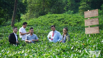 Shledání mladých lidí