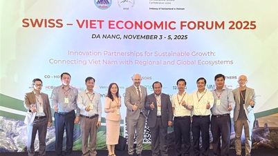 까마우, 2025년 스위스-베트남 경제포럼에서 스위스 파트너들과 협력 강화