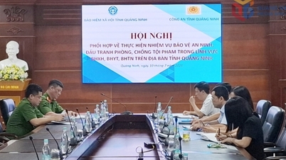 Provincial Social Insurance strengthens measures to reduce social insurance debt, ensuring sustainable social security