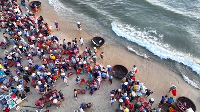 Cấp thiết hỗ trợ ngư dân chuyển đổi nghề