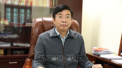 More flexible, comprehensive and humane social development management policies