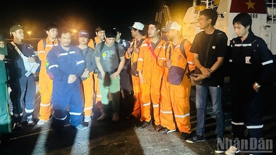 12 anak kapal Star Bueno yang terkandas di perairan Dung Quat meninggalkan kapal itu.