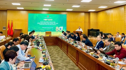 Series of activities to celebrate 80 years of Agriculture and Environment sector