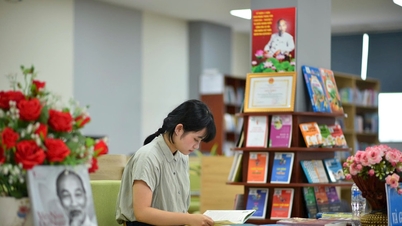 Da Nang dezvoltă o rețea de biblioteci publice pentru a satisface nevoile oamenilor