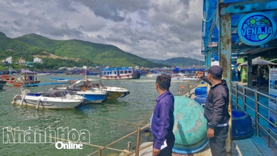 Triển khai các biện pháp ứng phó cơn bão số 13 để đảm bảo an toàn cho người và phương tiện ở vịnh Nha Trang