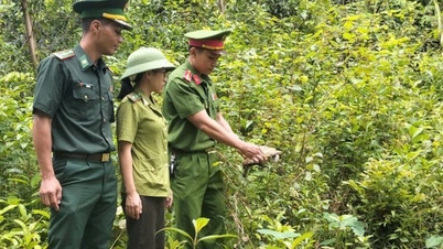 Kustbewoners hebben een zeldzaam dier gevangen