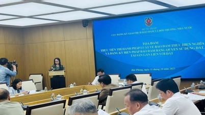 Tọa đàm thực tiễn thi hành pháp luật về bảo đảm thực hiện nghĩa vụ và đăng ký biện pháp bảo đảm bằng quyền sử dụng đất, tài sản gắn liền với đất tại thành phố Hải Phòng