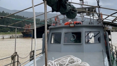 បញ្ជូន​នាវា​ទៅ​កោះ Cu Lao Cham ជា​បន្ទាន់ ដើម្បី​នាំ​អ្នកជំងឺ​ឡើង​គោក​ដើម្បី​ព្យាបាល​ជា​បន្ទាន់ ។